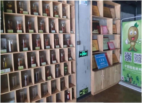 數字經濟展示 獼猴桃網平臺建設項目