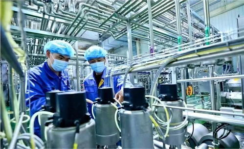 蘭州新區(qū)國慶假期生產不打烊，全力趕制訂單保障西安網(wǎng)絡需求